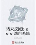 췴bossϴϵͳ