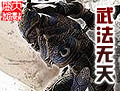 ䷨