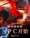 ޵дӳΪNPCʼ